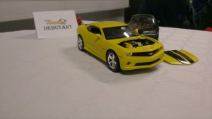 IMAG0987